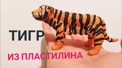 Тигр из пластилина|#ЛепкаКласс#shorts - YouTube