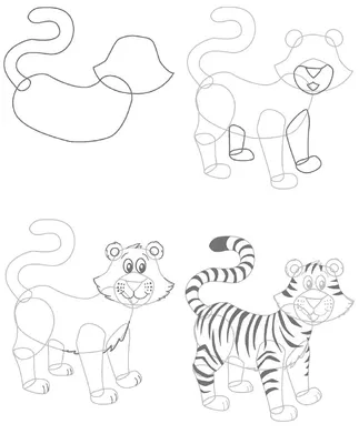 Как нарисовать тигра, рисуем символ 2022 года пошагово для детей