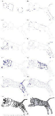 КАК НАРИСОВАТЬ ТИГРА🐯ЛЁГКИЙ СПОСОБ🖌️2022 - YouTube