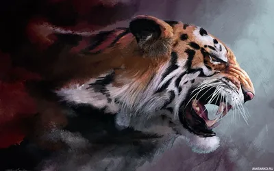 Картинка с оскаленным тигром, аватар красиво нарисованного тигра в профиль  — Аватары и картинки | Животные, Тигр, Кошки