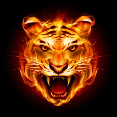 Создать мем \"аватарка тигр для профиля, аватарки для стим тигр, тигр\" -  Картинки - Meme-arsenal.com