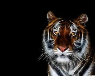Тигрица на заставку - 65 фото
