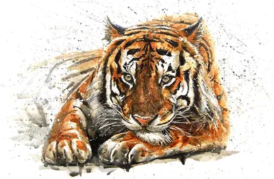 Фотообои \"Тигр на белом фоне\" - купить в интернет-магазине Ink-project с  быстрой доставкой