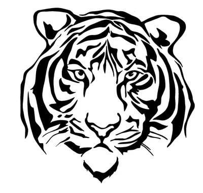 изображение тигра с полной длиной на белом фоне. Иллюстрация штока -  иллюстрации насчитывающей сильно, ноги: 272861837