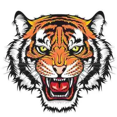 тигр пнг картинки, скачать 20000+ тигр PNG рисунок с прозрачным фоном