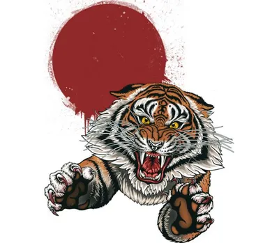 белый тигр PNG рисунок, картинки и пнг прозрачный для бесплатной загрузки |  Pngtree