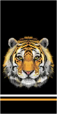 Тигр - Картинка на телефон / Обои на рабочий стол №1556104