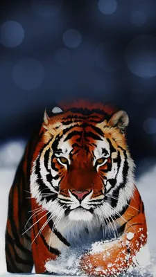 Суровый взгляд тигра в лесу - обои на телефон