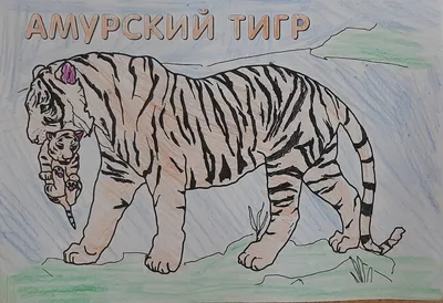 Черно белый рисунок тигра» — создано в Шедевруме