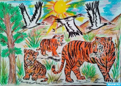 голова тигра, тигры, рисунок тигра, печать тигра png | PNGWing