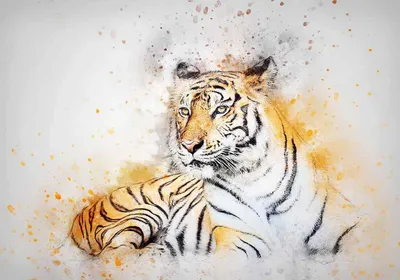Как нарисовать тигра поэтапно | TopOkritki | Дзен