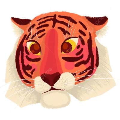 Как нарисовать (рисовать) тигра » Рисуем легко и поэтапно - мастер-классы  по рисованию тигров и рисунки для срисовки для детей и начинающих  карандашом и красками