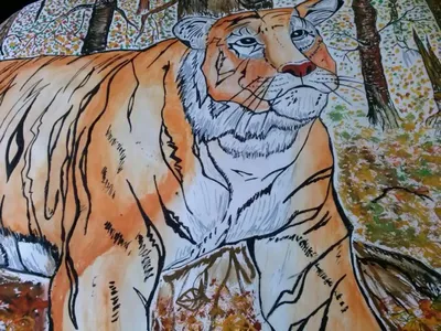 Конкурс на лучший рисунок тигра — символа 2022 года - Раменский городской  округ - Официальный информационный портал