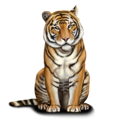 Международный день тигра отмечается 29 июля | Ветеринария и жизнь
