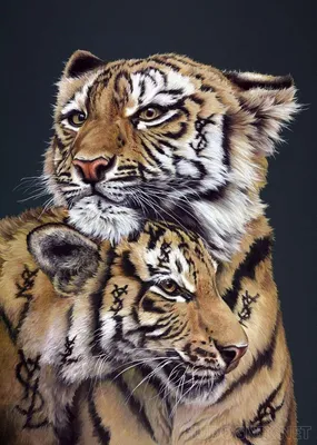 На Сахалине появилась самая большая в России скульптура тигра