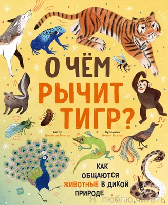 Вид на разгневанного тигра в дикой природе | Премиум Фото