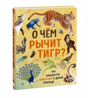 Дело президента живёт: популяция амурского тигра на Дальнем Востоке выросла  до 600 особей - KP.RU