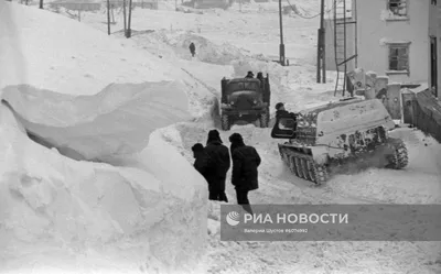 Сегодня последний день приема заявок от художников на создание муралов в  Тикси и Мохсоголлохе — Улус Медиа