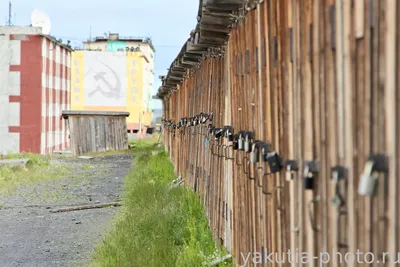 По маршруту Тикси-Якутск будет ходить «Михаил Ломоносов» — Yakutia-daily.ru