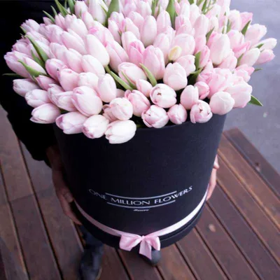 Тюльпаны в коробке по лучшим ценам с доставкой по Ростову-на-Дону