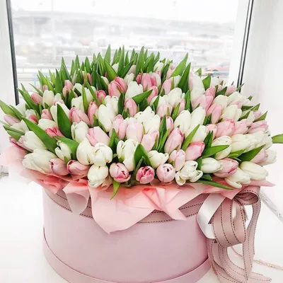 Пионовидные белые и сиреневые тюльпаны в коробке (M) до 99 тюльпанов -  купить в интернет-магазине Rosa Grand