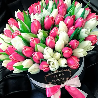 Купить букет из 51 тюльпана в шляпной коробке недорого в Волгограде