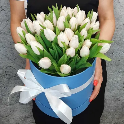 Купить букет - 45 тюльпанов в коробке с доставкой по городу Днепр в  интернет-магазине Royal-Flowers
