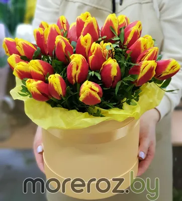 101 бело-розовый тюльпан в коробке за 21 190 руб. | Бесплатная доставка  цветов по Москве