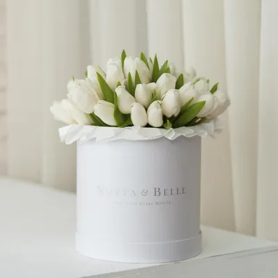 Тюльпаны пионовидные в коробке (XXL) от 319 тюльпанов - купить в  интернет-магазине Rosa Grand
