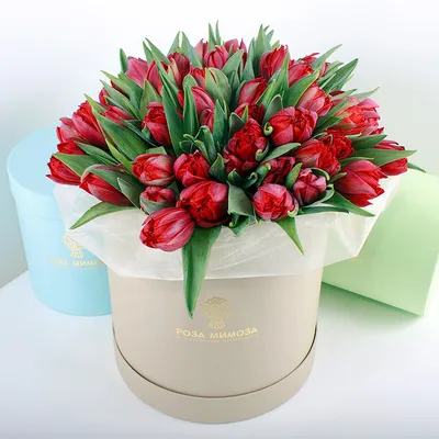 19 розовых тюльпанов в шляпной коробке заказать с доставкой в Краснодаре по  цене 3 370 руб.