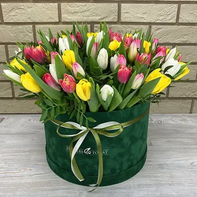 25 тюльпанов в коробке С Любовью | доставка по Москве и области