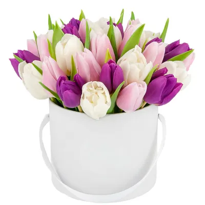 Artflower.kz | Бордовые тюльпаны в коробке - Купить с доставкой в Алматы по  лучшей цене