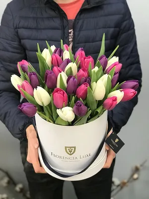 Тюльпаны Коламбус в коробке| купить недорого | доставка по Москве и области  | Roza4u.ru