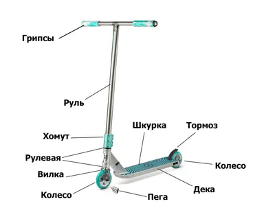 Самокат трюковой, колеса 100мм, Bradex LANZO SF 0838 — купить оптом со  склада в Москве на официальном сайте BRADEX
