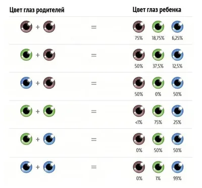 Оттенки глаз( ° °) | Пикабу