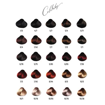 Март 2023 (+63 фото) Цвет волос черный шоколад