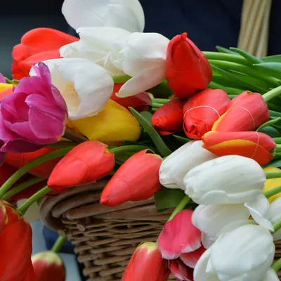 Какие цветы дарят на 8 марта? Советы по выбору цветов от магазина Flority