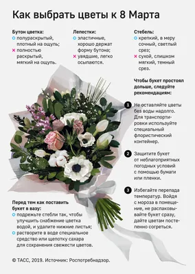 Идеальное 8 Марта: много цветов, внимания и любви - Общество - Новости -  Калужский перекресток Калуга