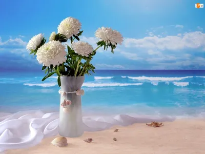 Фото цветов на фоне моря фото
