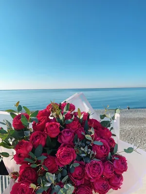 Розы на берегу моря - 66 фото