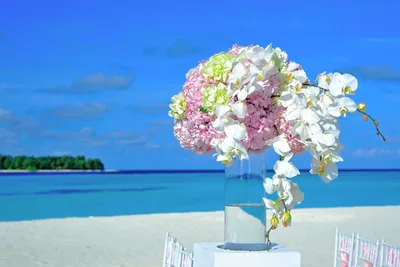 Букет цветов на фоне моря - красивые фото