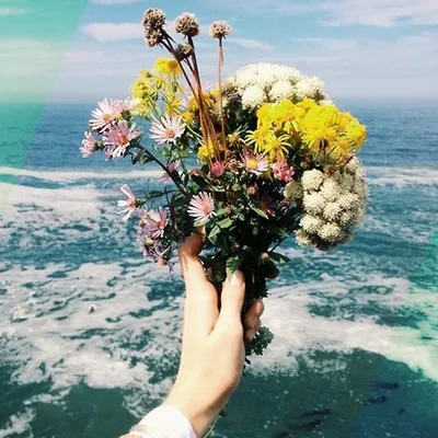 Букет степных цветов в руке на фоне моря и камней Stock Photo | Adobe Stock