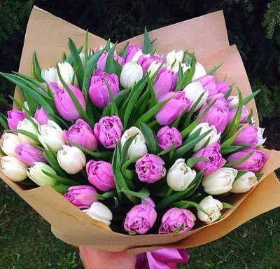 Мисти баблc кустовые розы, пионовидные тюльпаны - Красивые цветы в Тамбове