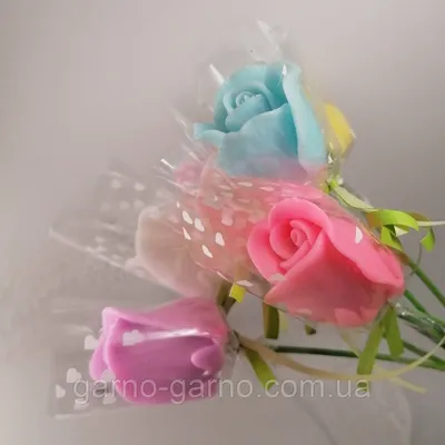 Розы Помпиду с тюльпанами | доставка по Москве и области