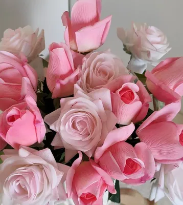 Розы, тюльпаны и диантусы в корзине купить в СПБ недорого | Бесплатная  доставка