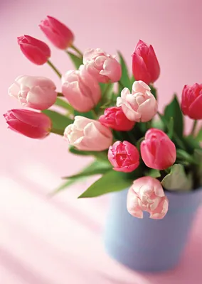 Красочный букет цветов Розы Тюльпаны День рождения, пасха, день матери,  день Святого Валентина, привет, поздравляю Стоковое Фото - изображение  насчитывающей старо, торжество: 166617550