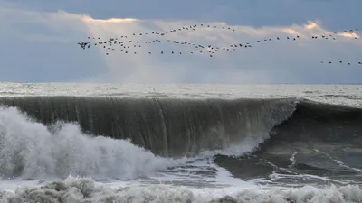 Отели Туапсе с видом на море — лучшие и недорогие с панорамным видом