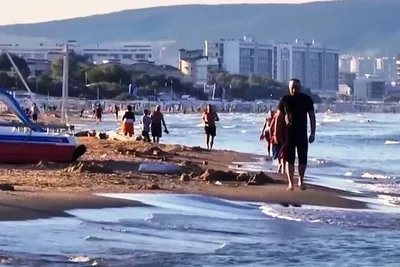 На туристов в Средиземном море начали нападать рыбы: искусаны 15  отдыхающих, обратившихся за помощью | Туристические новости от Турпрома