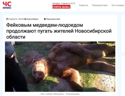 Подмял под себя, снимая рюкзак\": медведь-людоед разорвал подростка на  территории парка в России - | Диалог.UA