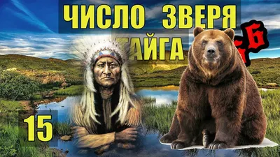 Медведь загрыз жителя Воткинска // ИА Сусанин - проверенные новости Ижевска  и Удмуртии, факты и описания событий.